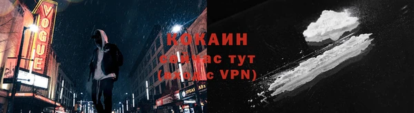 гидра Богданович