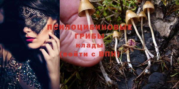 гидра Богданович
