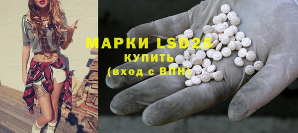 гидра Богданович