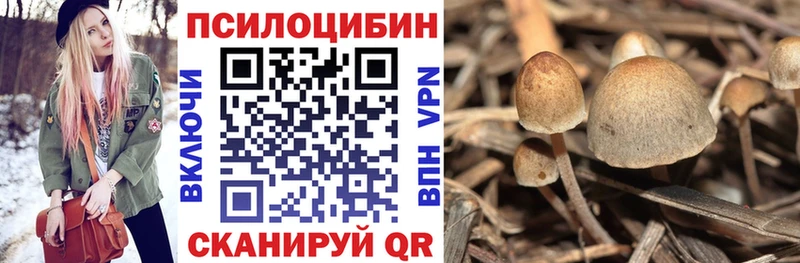 закладка  Обь  Псилоцибиновые грибы мицелий 