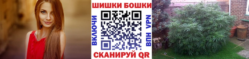 Бошки марихуана семена  Обь 